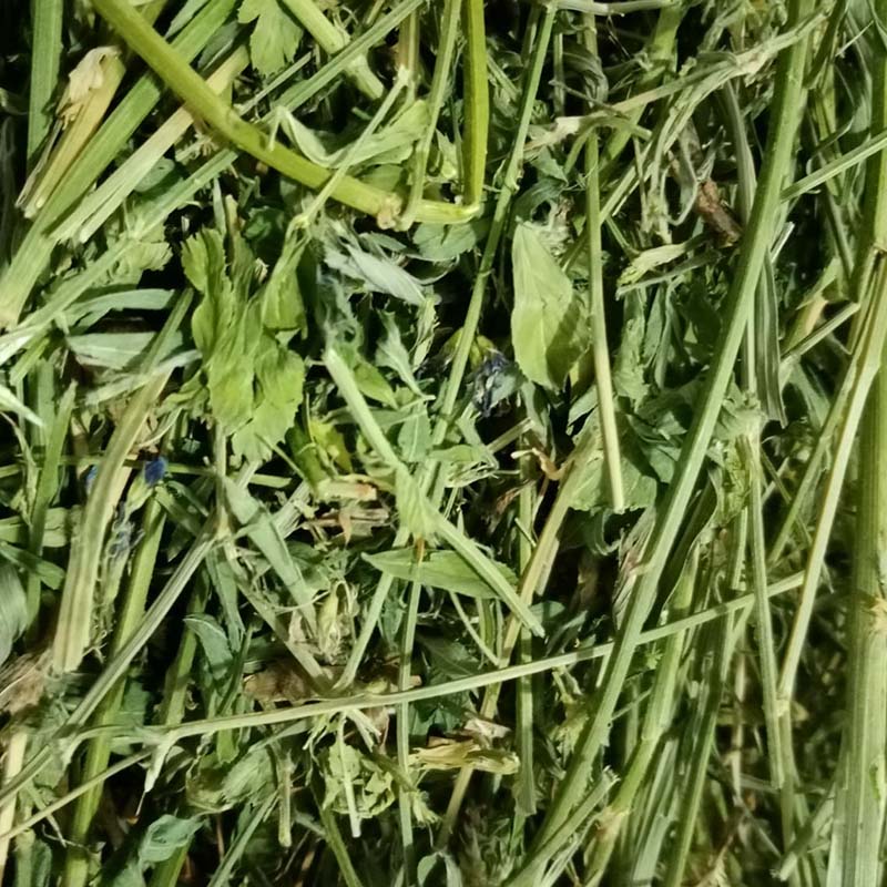 bolsa heno alfalfa