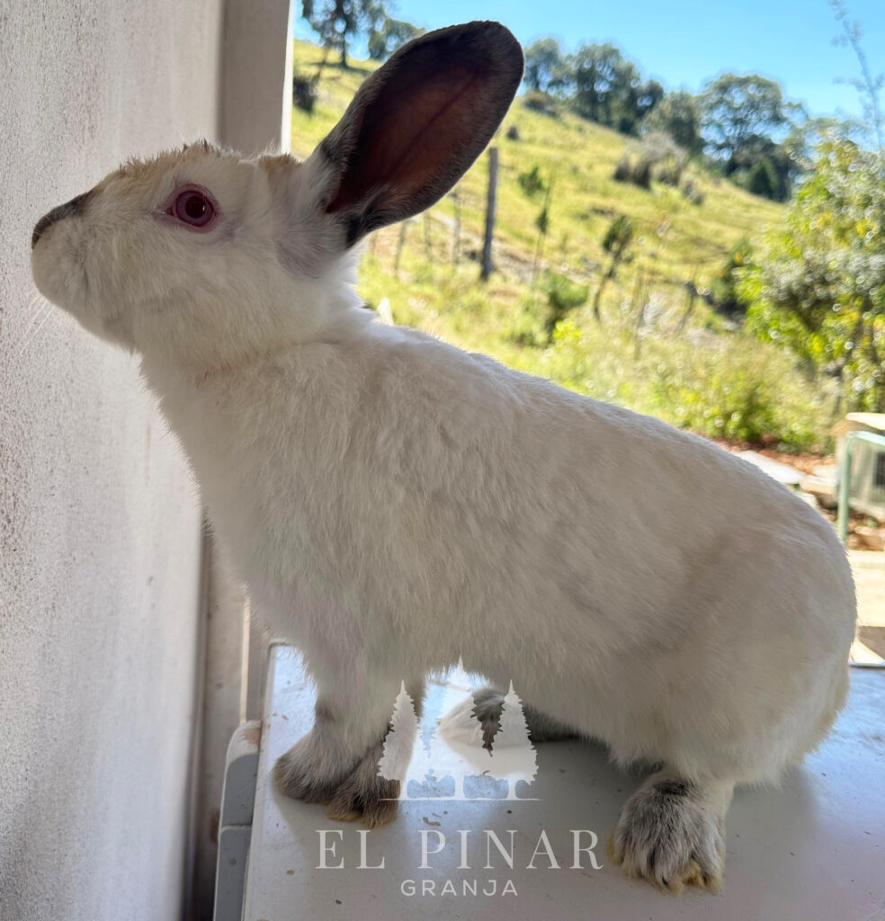 imagen de whatsapp 2025 10 28 a las 12.44.53 ea00f84a