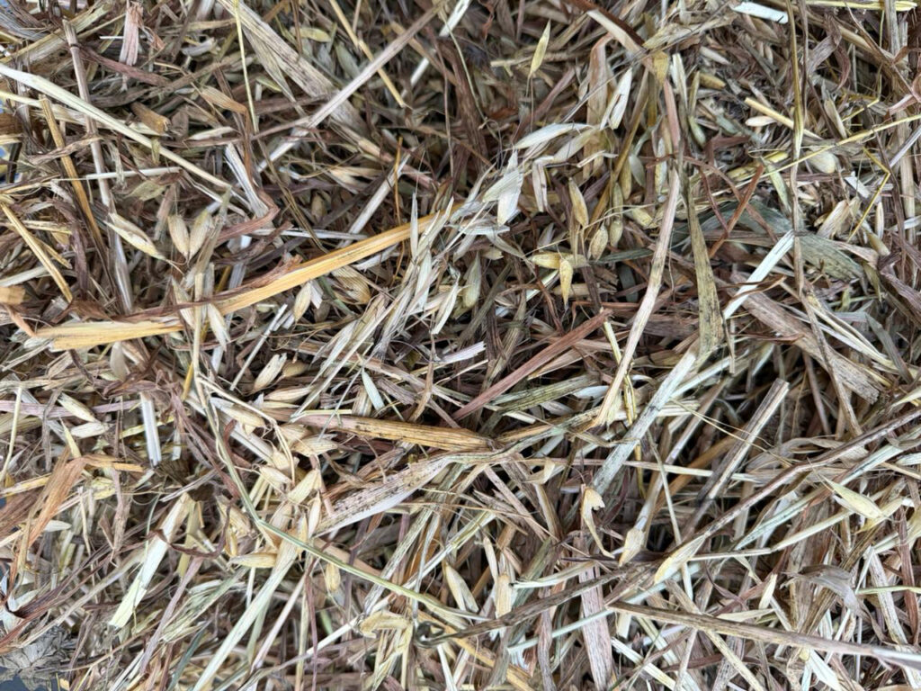 imagen de whatsapp 2025 11 02 a las 18.09.51 34b62fa8