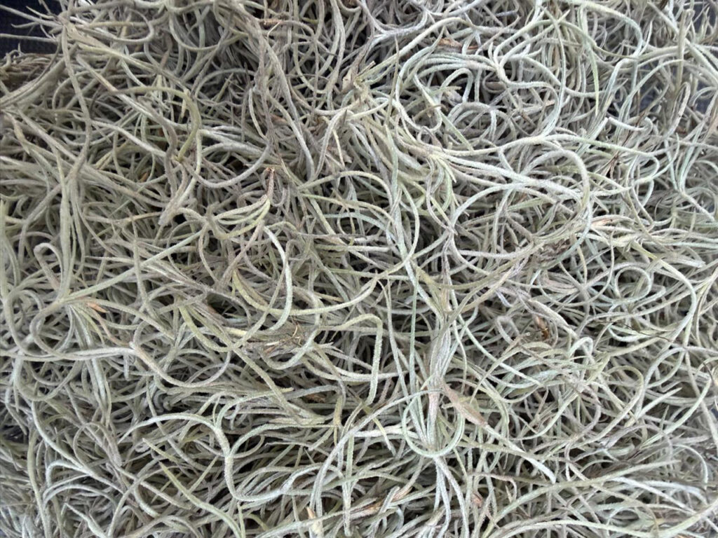 imagen de whatsapp 2025 11 02 a las 18.09.51 a4d6ab45