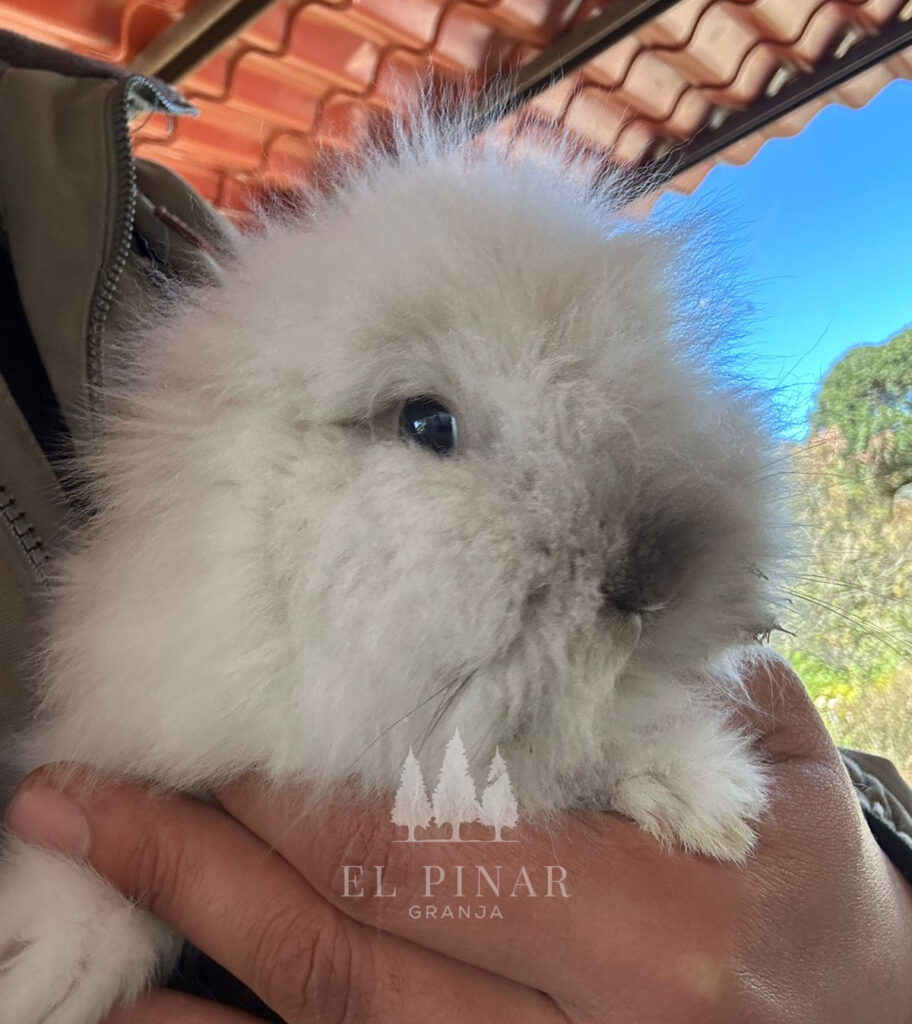 imagen de whatsapp 2025 11 05 a las 13.40.41 f42acebf